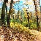 Collection 8 Autumn trail