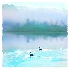 Calm Prints - Calm water by Collection 8