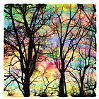 Collection 8 Cotton candy clouds