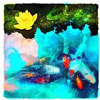 Collection 8 Evening reflection