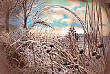 The Frozen Moat - Bedfield Prints - Frozen prairie by Collection 8