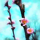 Collection 8 Springs arrival