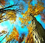 Collection 8 Stepping out painting