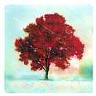 Collection 8 The red tree