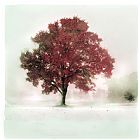 Collection 8 winter greets Autumn