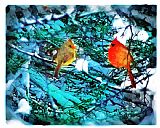 Collection 8 Winter love