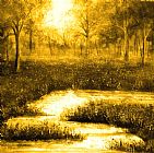 Collection 9 Golden Evening