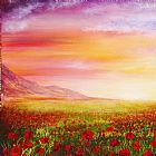 Collection 9 Poppy Meadow