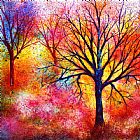 Collection 9 Vibrant