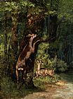 Courbet, Gustave Deer in The Forest painting