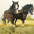 David Nockels Farm Horses
