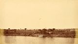 Despoineta Banks of The Nile with Palm Trees And Boat