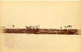 Despoineta Banks of The Nile with Palm Trees And Boats 3