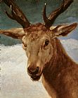 Diego Rodriguez de Silva y Velazquez Head of a Stag