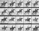 Eadweard Muybridge Man And Horse Jumping A Fence
