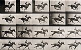 Jockeys Prints - Jockey On A Galloping Horse by Eadweard Muybridge
