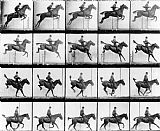 Eadweard Muybridge Man And Horse Jumping
