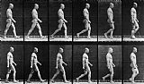 Walking The Plank Prints - Man Walking by Eadweard Muybridge