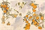 Lear Prints - Fruit Trees, 3 April 1863 by Edward Lear