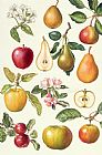 Elizabeth Rice Apples and Pears