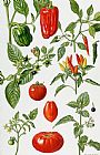 Elizabeth Rice Tomatoes and related vegetables