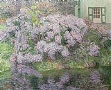 Emile Claus Hydrangeas on the banks of the River Lys painting