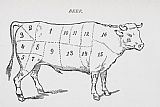 English School Drawing Of A Bullock Marked To Show Eighteen Different Cuts Of Meat