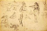 Animals Prints - Animal And Figure Studies by Eugene Delacroix