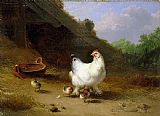 Eugene Joseph Verboeckhoven A hen with her chicks