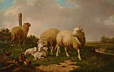 Sheep Prints - Sheep And Rooster by Eugene Verboeckhoven