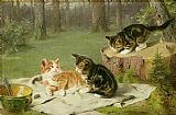 Ewald Honnef Kittens Playing