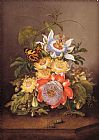 Ferdinand Bauer Passionflowers