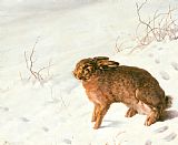 Ferdinand von Rayski Hare in The Snow