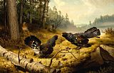 Ferdinand von Wright The Fighting Capercaillies