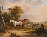 Animals Grazing in a Meadow Prints - Horses Grazing a Grey Stallion Grazing with Mares in a Meadow by Francis Calcraft Turner