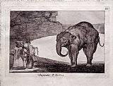 Animals Prints - Animal Folly by Francisco De Goya