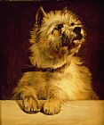 George Earl Cairn Terrier
