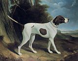 George Garrard Portrait of a liver and white pointer