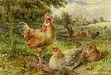 George Hickin Cochin China Fowls