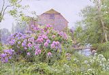 George Marks Rhododendrons by a watermill