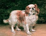 George Sheridan Knowles King Charles Spaniel