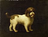George Stubbs A Water Spaniel painting