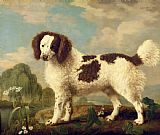 George Stubbs  Brown and White Norfolk or Water Spaniel painting