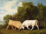 George Stubbs Bulls Fighting painting