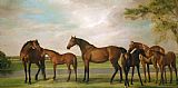 George Stubbs Mares And Foals Disturbed By An Approaching Storm painting