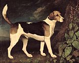 George Stubbs Ringwood painting