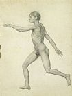 George Stubbs The Entire Human Figure From The Left Lateral View painting