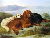 George W. Horlor A Golden Retriever, Irish Setter, And a Gordon Setter in a Mountainous Landscape