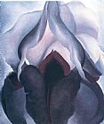 Georgia O'keeffe Black Iris 1