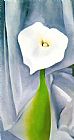 Georgia O'keeffe Calla Lily on Grey